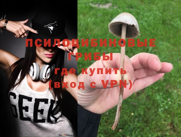 a pvp Богородицк